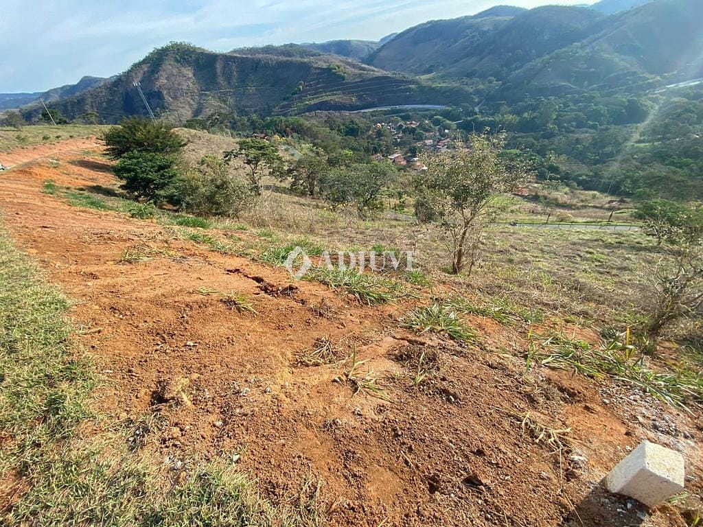 Terreno à venda com 1 quarto, 2459m² - Foto 6