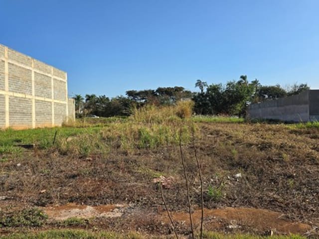 Foto do Terreno - Terreno comercial para venda em Jardim Cristo Redentor, 300m² | Lares e Andares Imóveis