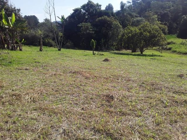 Terreno com 8380m², à venda, no bairro Jardim Ísis em Cotia