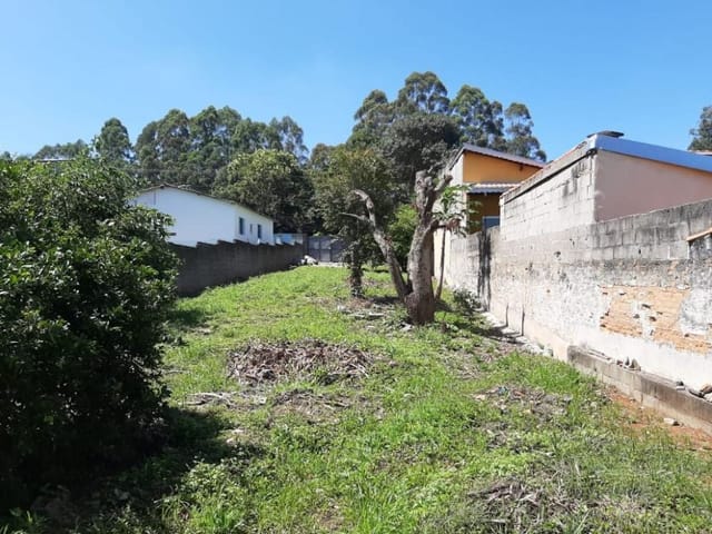 Foto do Terreno - Terreno à venda, 500 m² por R$ 235.000,00 - Vila Rica - São José dos Campos/SP | INDEPENDENCE NEGOCIOS IMOBILIARIOS LTDA
