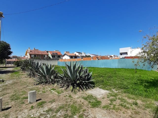 Foto do Terreno - Terreno à venda na Colina do Sol, de Esquina, Parte Alta, Aterrado, Pronto Para Construir, Excelente Posição Solar, Centro, Pelotas, RS | UP Imóveis
