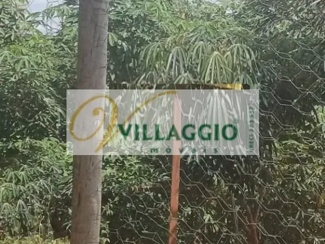 Terreno com 250m², à venda, no bairro Residencial Machado I em São José do Rio Preto