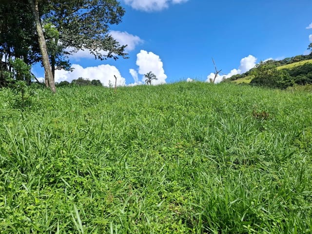 Terreno com 24200m², à venda, no bairro Pinhalzinho em Itapeva