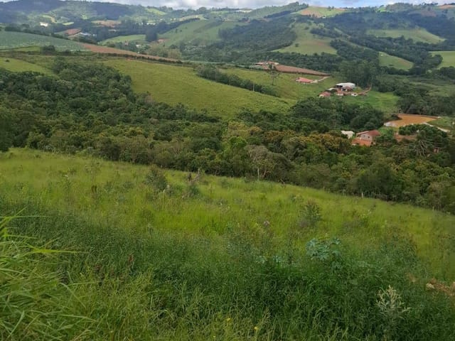 Terreno com 24200m², à venda, no bairro Pinhalzinho em Itapeva