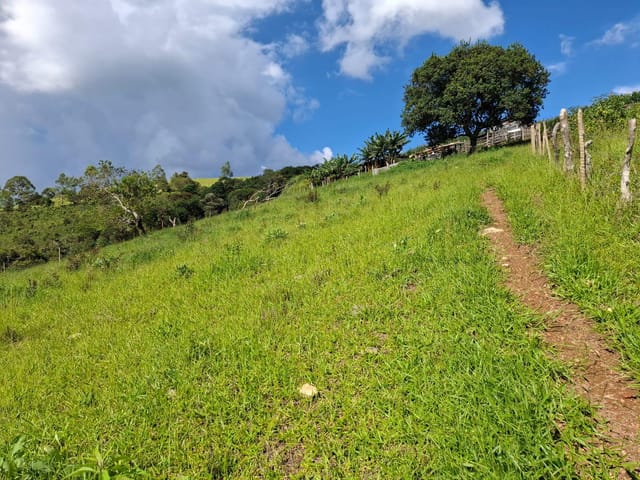 Terreno com 24200m², à venda, no bairro Pinhalzinho em Itapeva