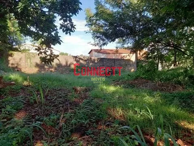 Terreno com 3000m², para alugar, no bairro Ribeirânia em Ribeirão Preto