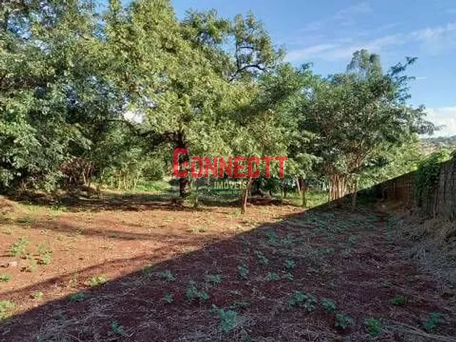 Terreno com 3000m², para alugar, no bairro Ribeirânia em Ribeirão Preto