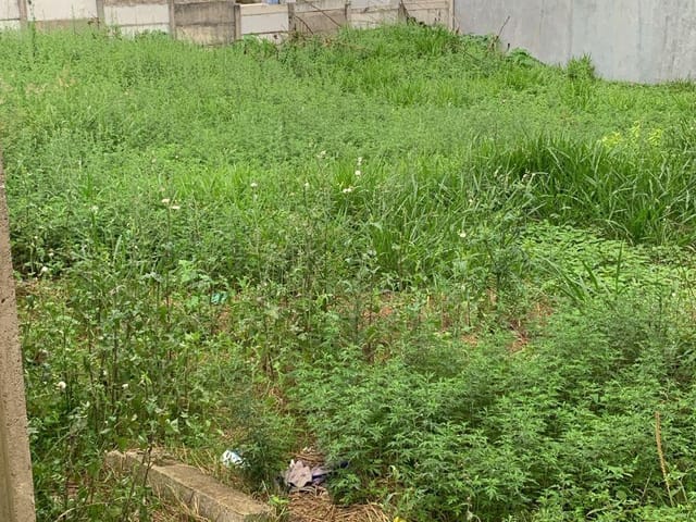 Terreno com 284m², à venda, no bairro Centro em Extrema