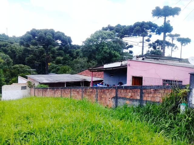 Chácara com 4043m² 2 quartos e 1 banheiro, à venda, no bairro Lamenha Grande em Almirante Tamandaré