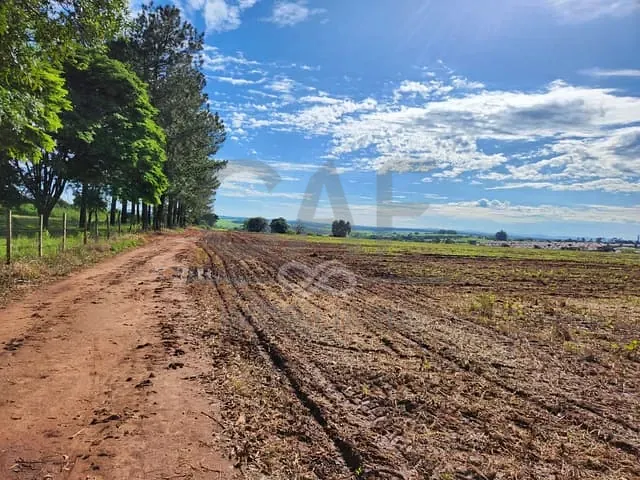 Terreno com 169400m², à venda, no bairro São João dos Pinheiros em Artur Nogueira