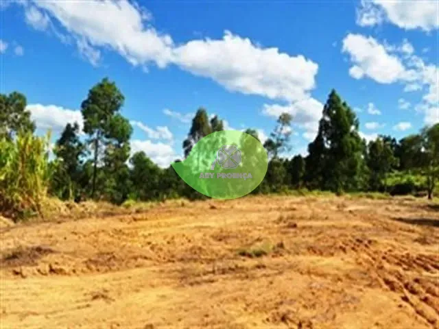 Terreno com 50300m², à venda, no bairro Brigadeiro Tobias em Sorocaba