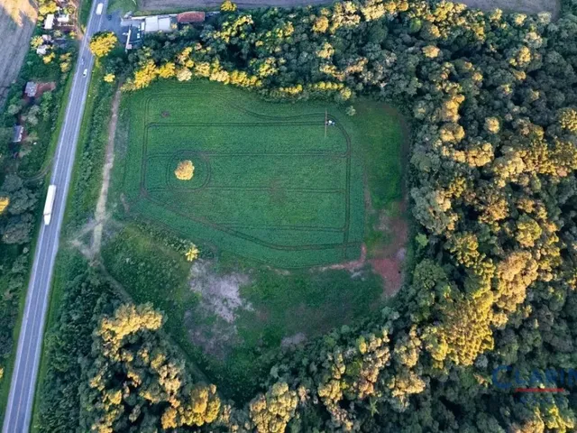 Terreno à venda, no bairro Botiatuva em Campo Largo