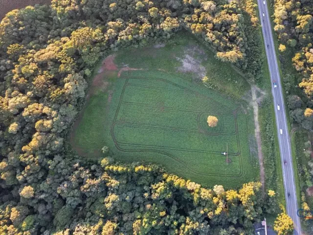 Terreno à venda, no bairro Botiatuva em Campo Largo