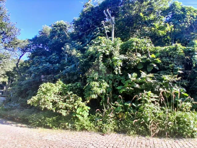 Terreno com 7816m², à venda, no bairro Ponte Seca em Ribeirão Pires