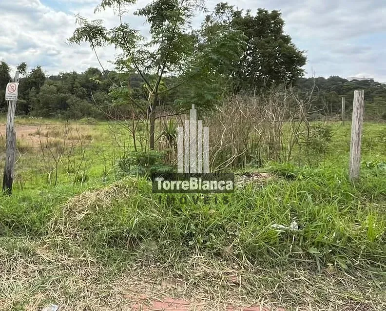 Terreno, 3387 hectares - Foto 5