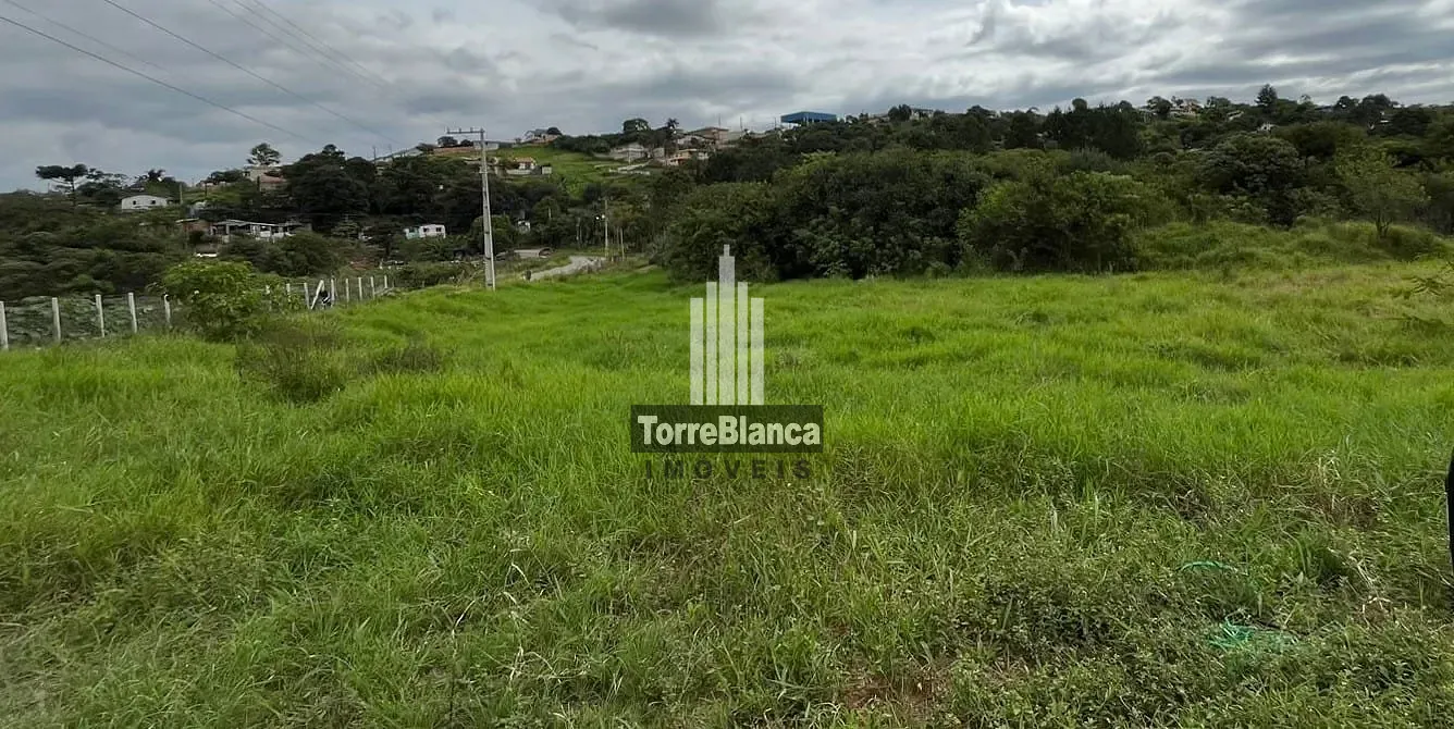 Terreno, 3387 hectares - Foto 4