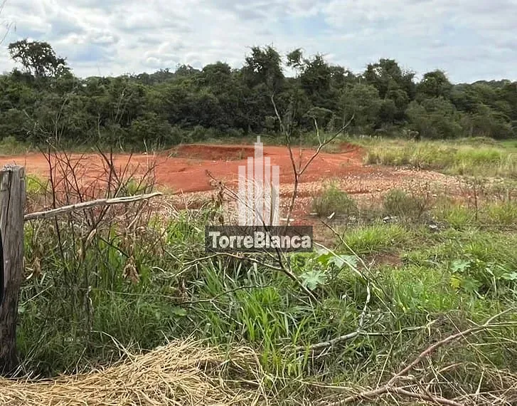 Terreno, 3387 hectares - Foto 3