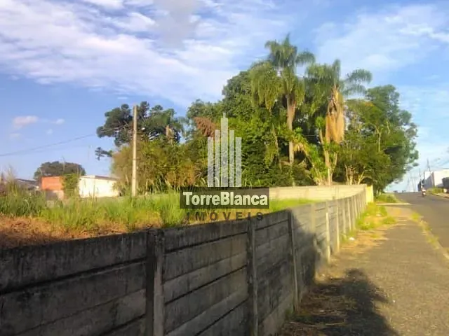 Terreno com 462m², à venda, no bairro Órfãs em Ponta Grossa