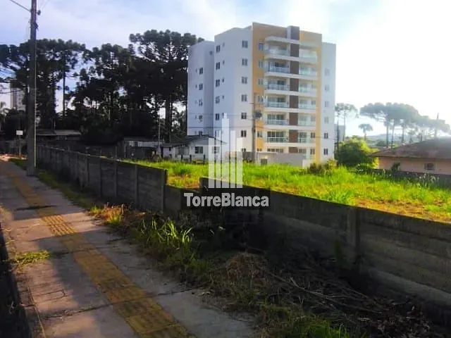 Terreno com 462m², à venda, no bairro Órfãs em Ponta Grossa