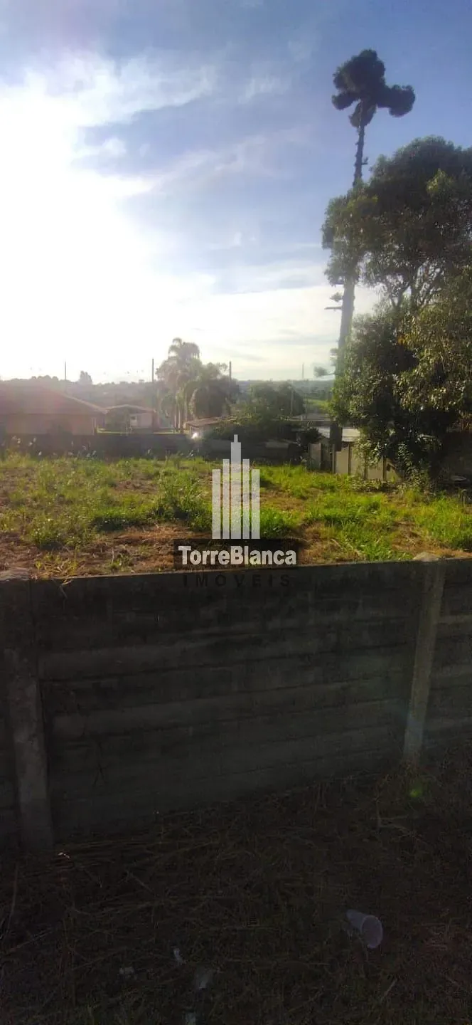 Terreno, 462 m² - Foto 3
