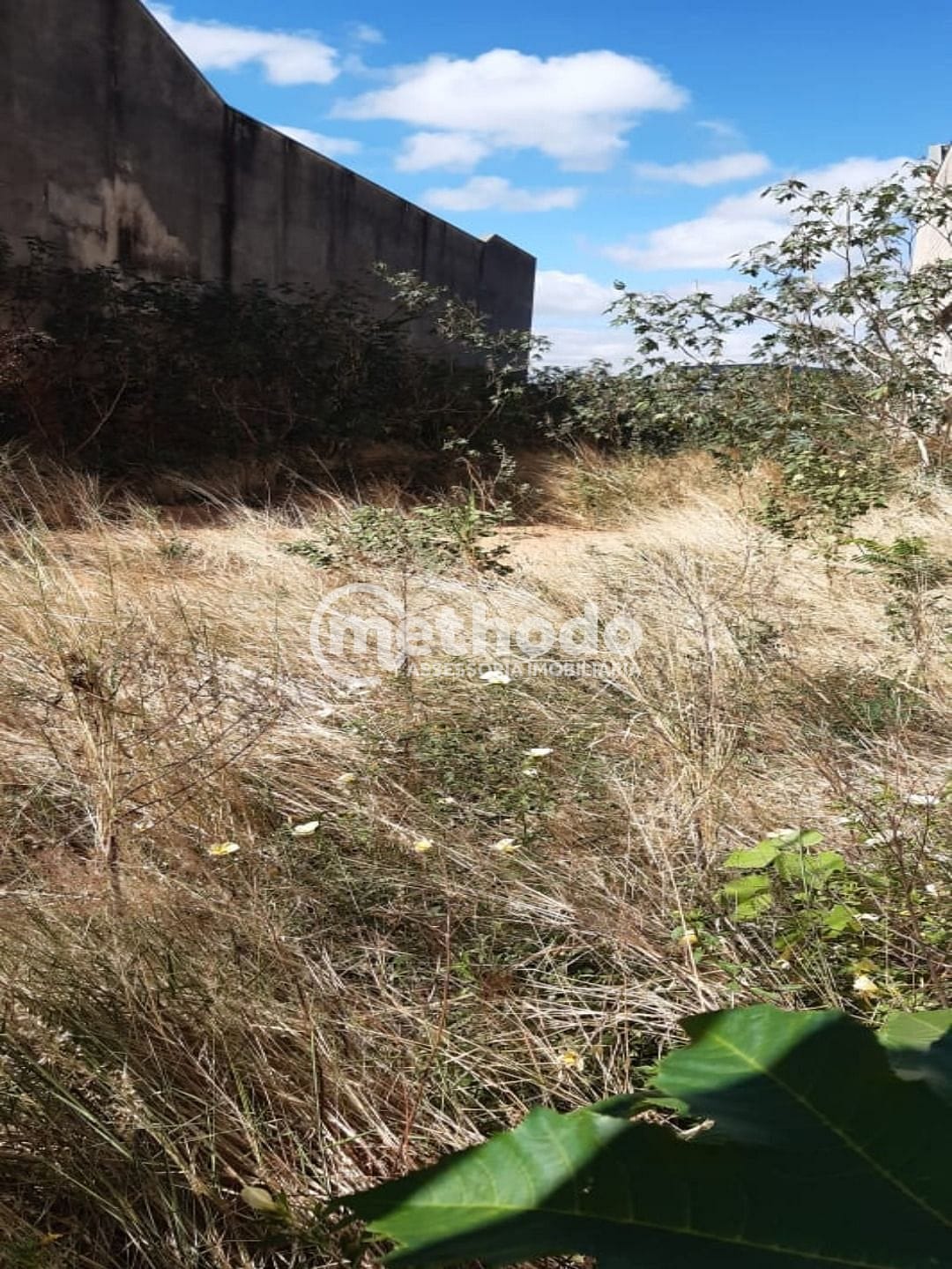 Terreno, 568 m² - Foto 4