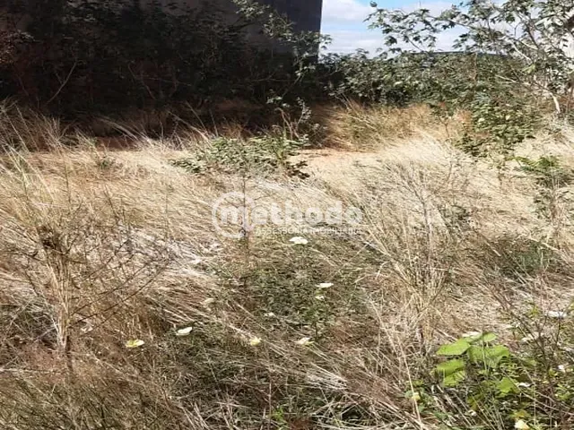Terreno com 568m², à venda, no bairro Jardim Nova Europa em Campinas