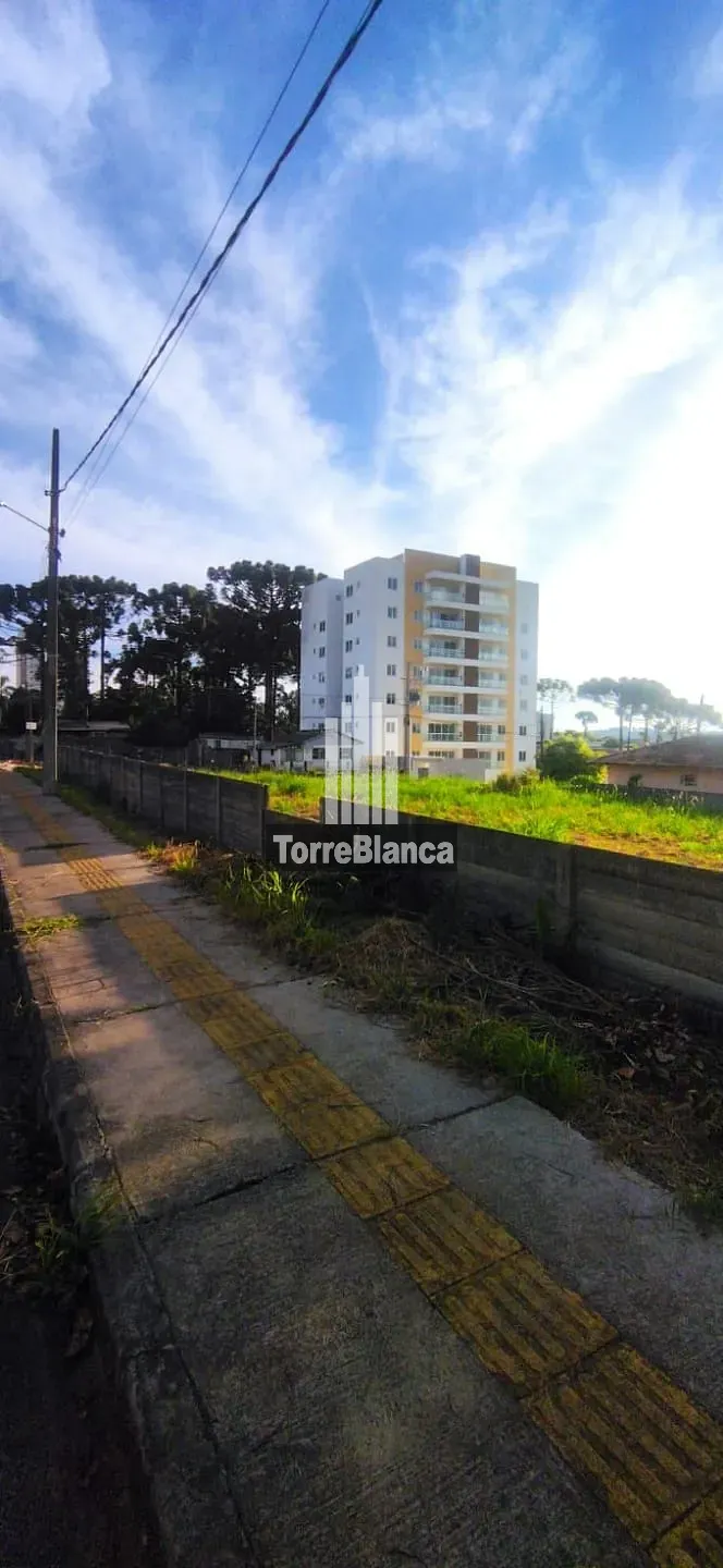 Terreno, 462 m² - Foto 4