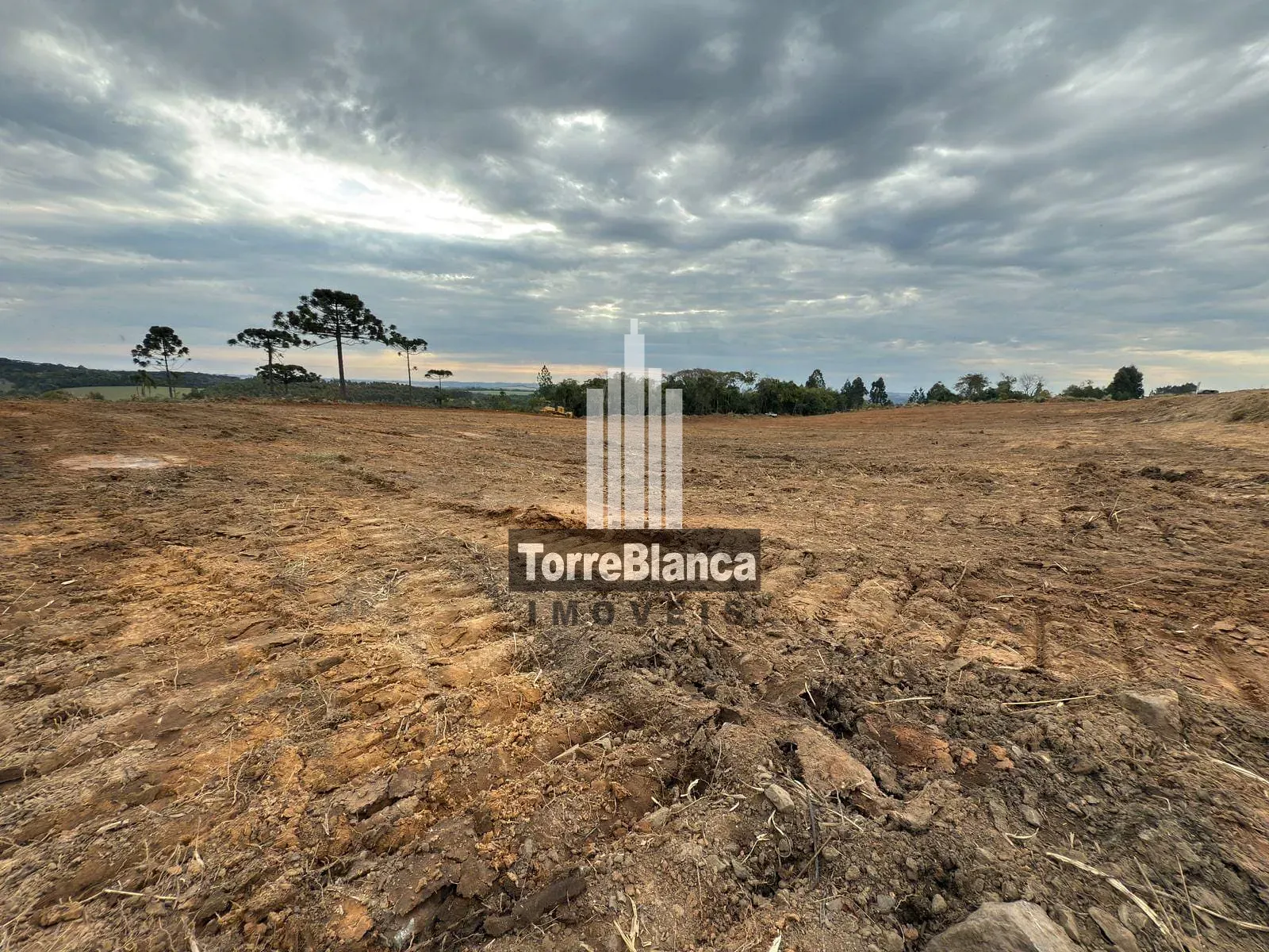 Terreno, 22 hectares - Foto 6