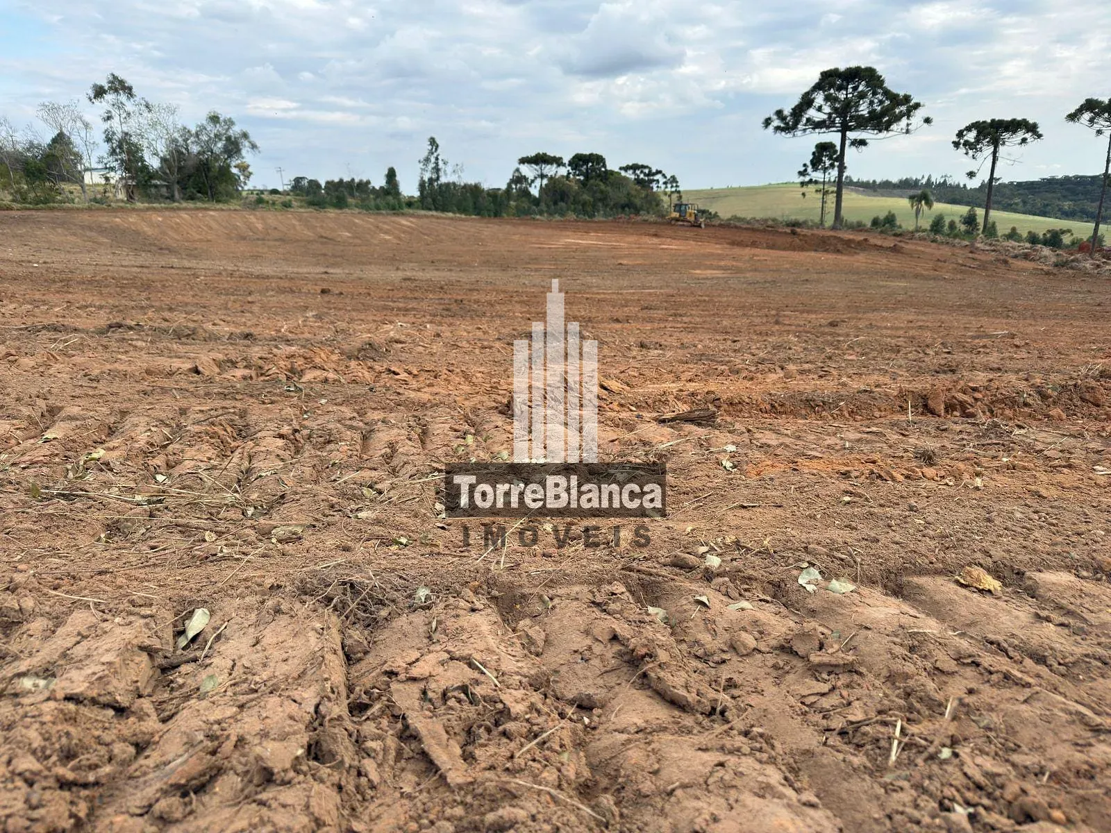 Terreno, 22 hectares - Foto 4