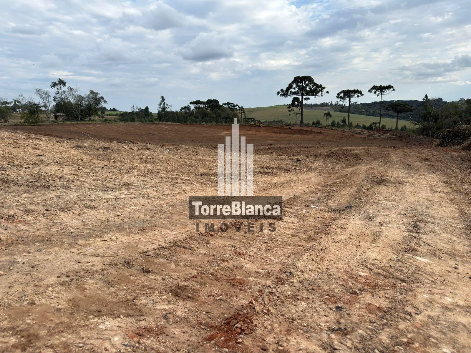 Terreno, 22 hectares - Foto 5
