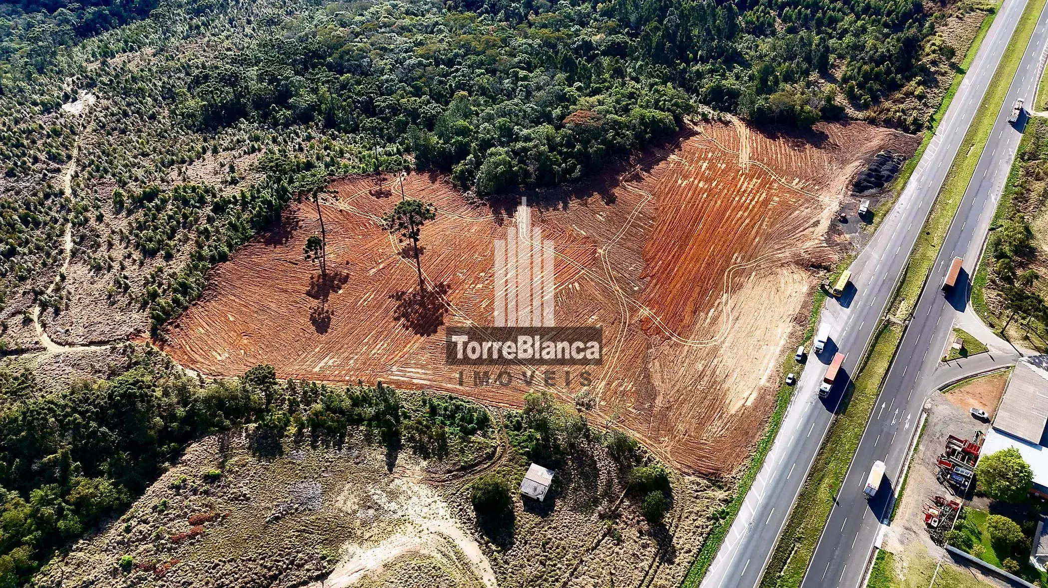 Terreno, 22 hectares - Foto 7