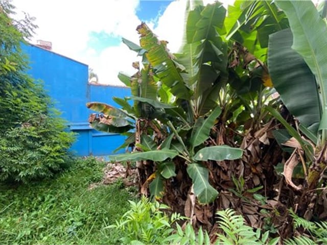 Foto do Terreno - Terreno residencial para venda em Vila Gonçalves, 420m² | Lares e Andares Imóveis