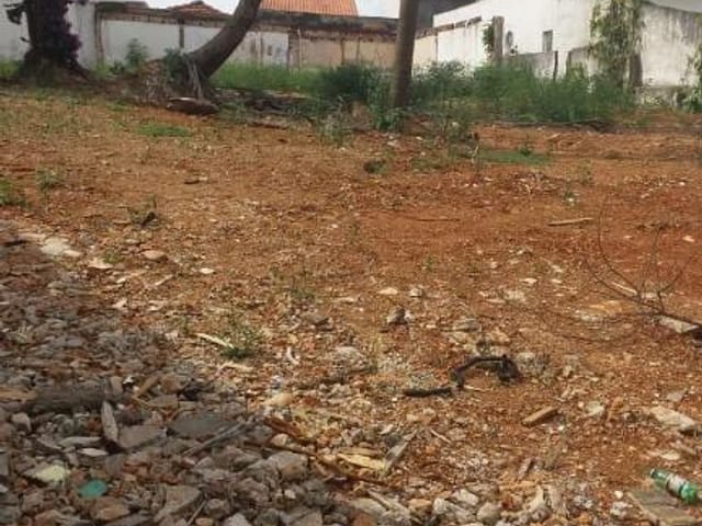 Foto do Terreno - Terreno à venda 740M², Vila Bertioga, São Paulo - SP | ZONA LESTE IMÓVEIS