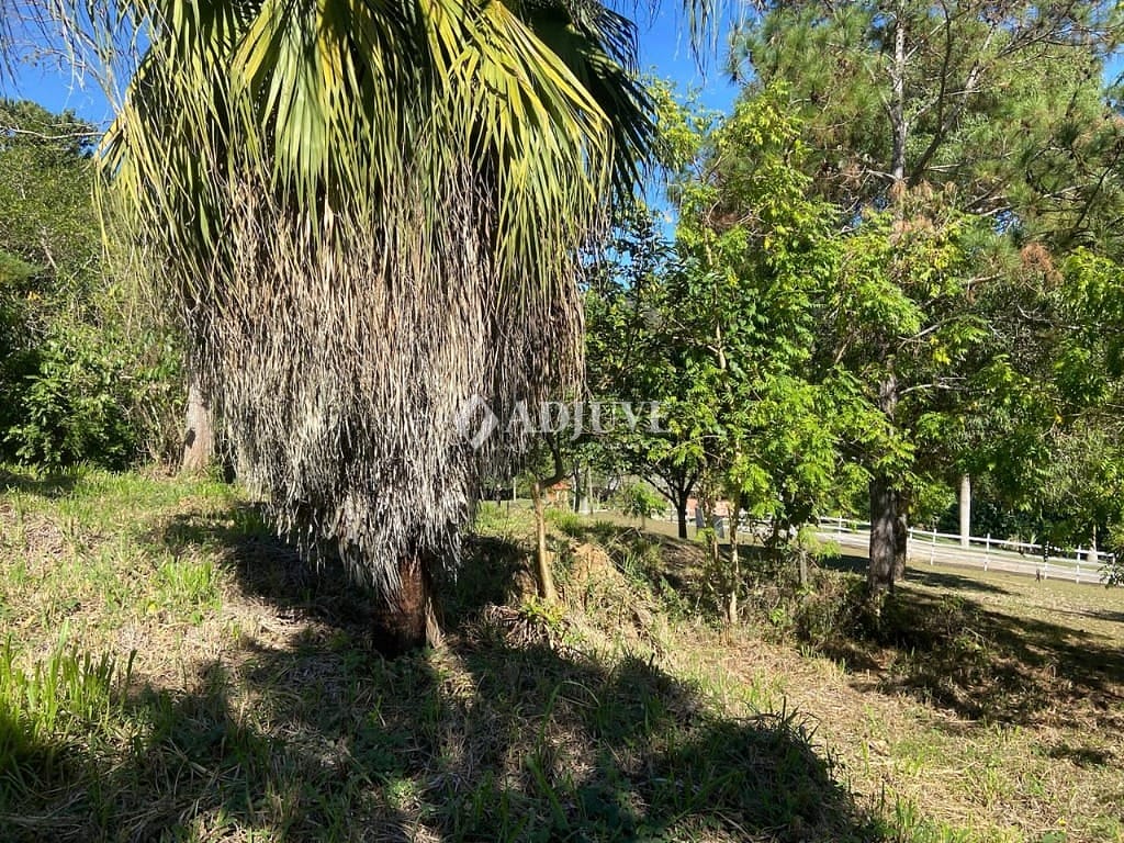 Terreno à venda, 1000m² - Foto 7