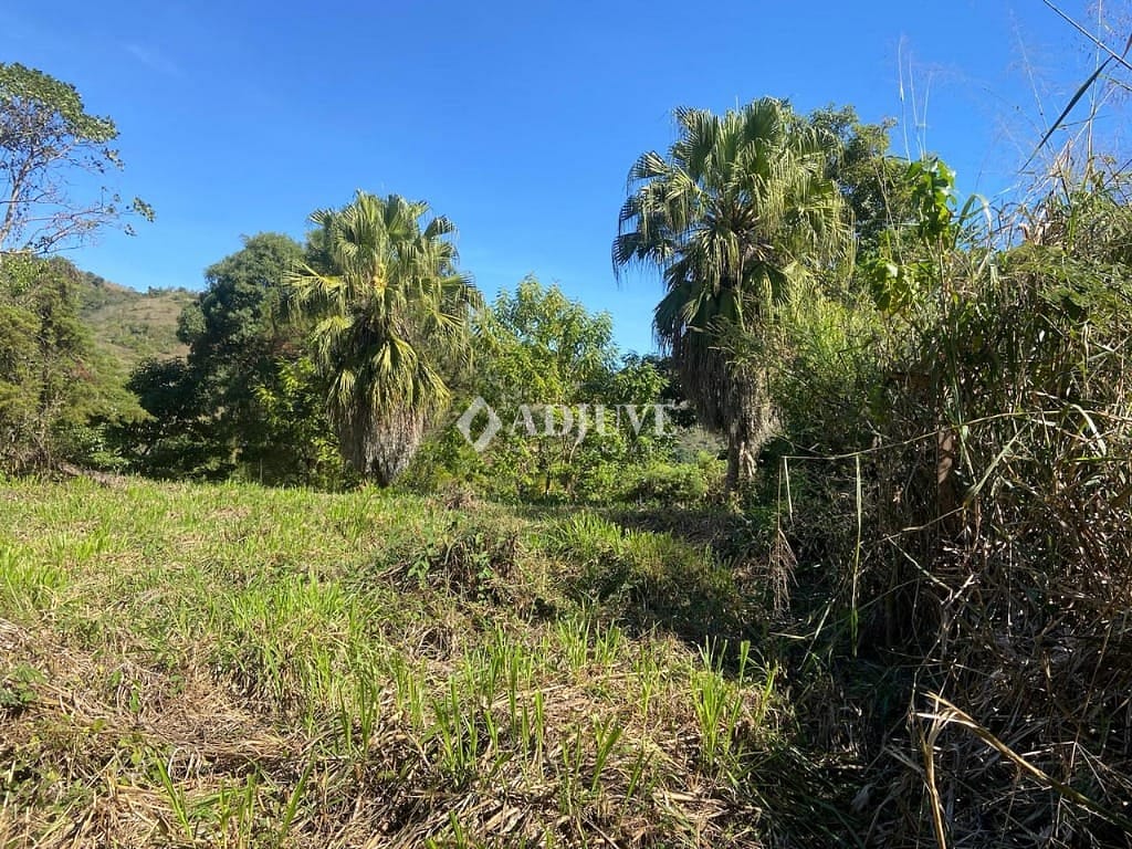 Terreno à venda, 1000m² - Foto 14