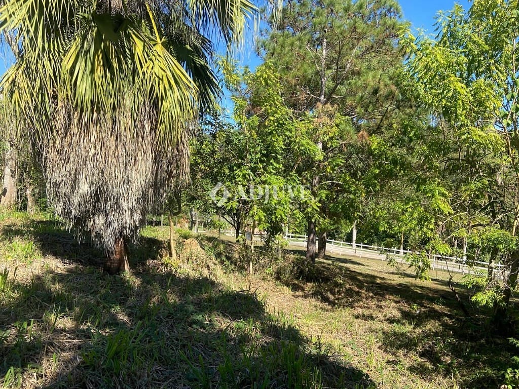 Terreno à venda, 1000m² - Foto 2