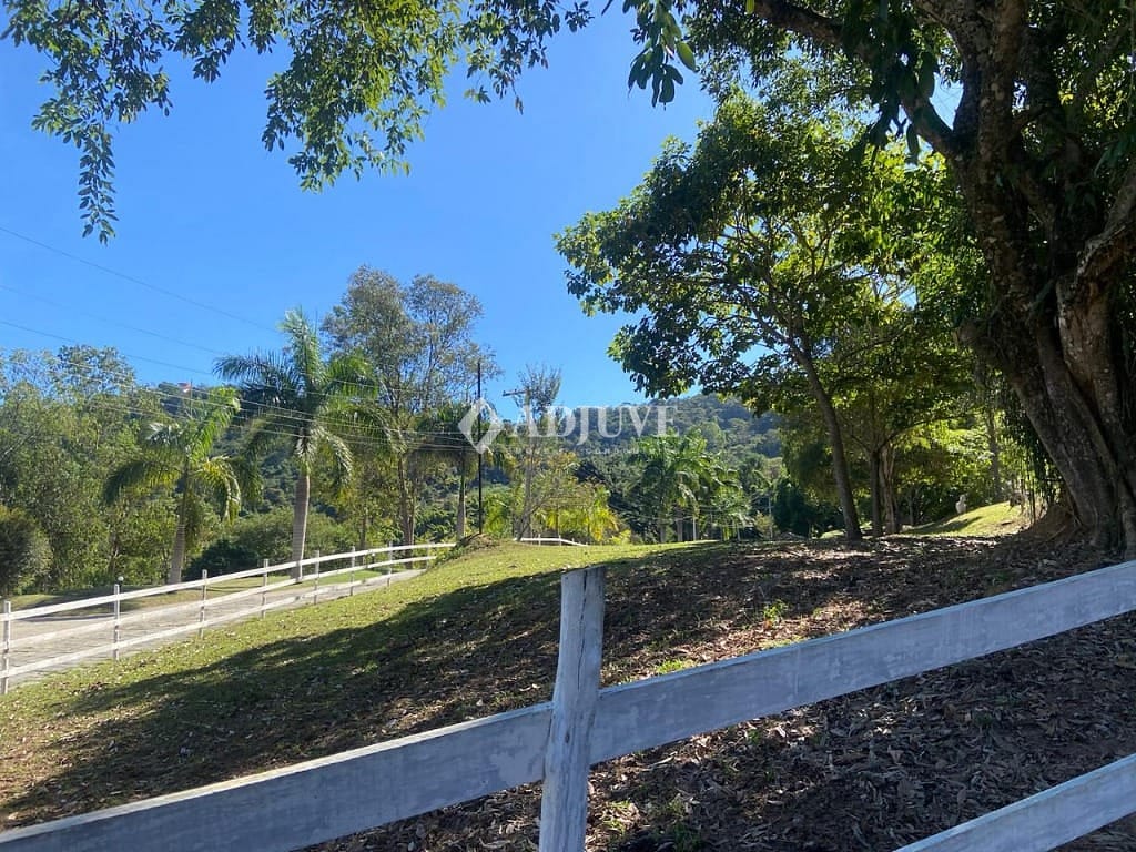 Terreno à venda, 1000m² - Foto 3