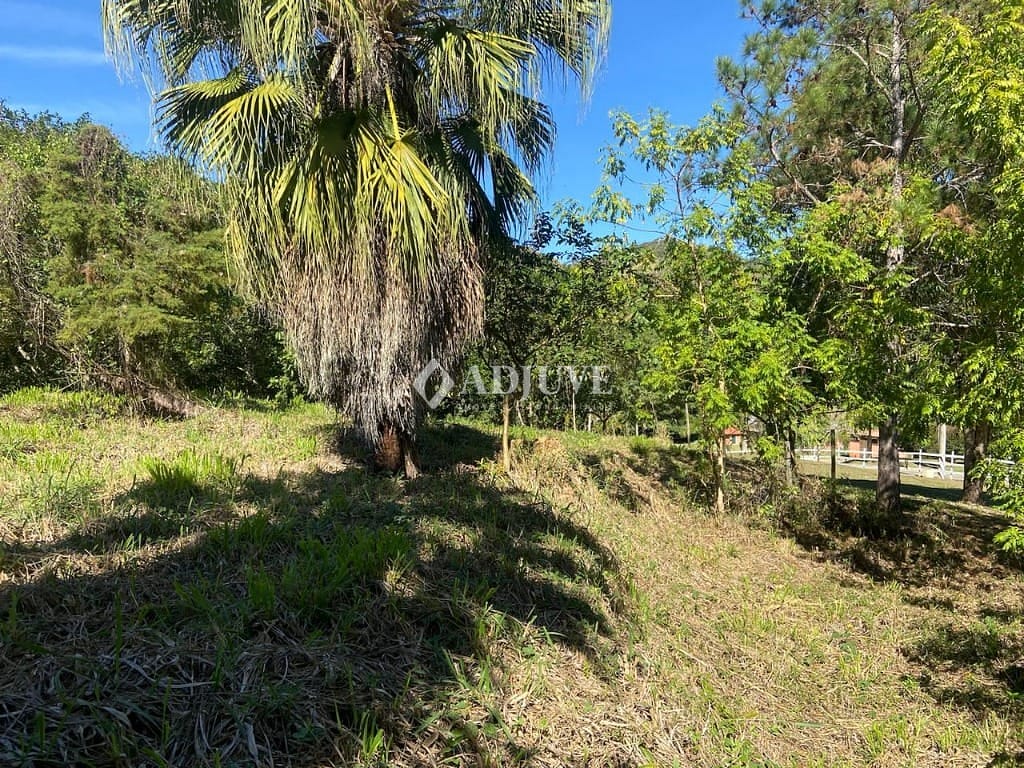Terreno à venda, 1000m² - Foto 11