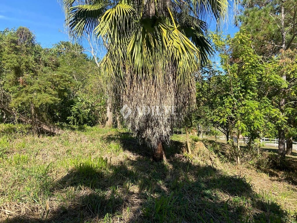 Terreno à venda, 1000m² - Foto 17