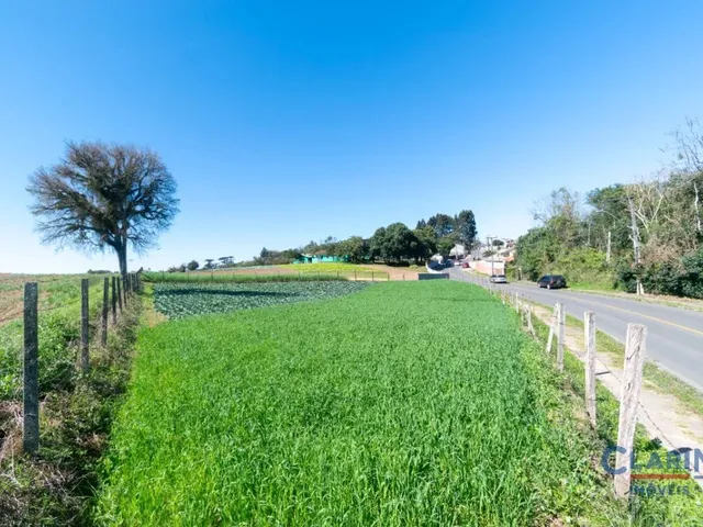 Terreno à venda, no bairro Vila Santa Terezinha em Campo Largo
