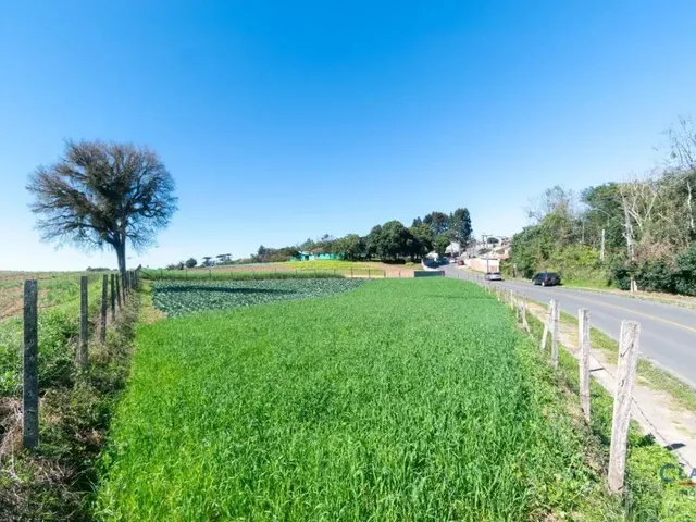 Terreno à venda, no bairro Vila Santa Terezinha em Campo Largo