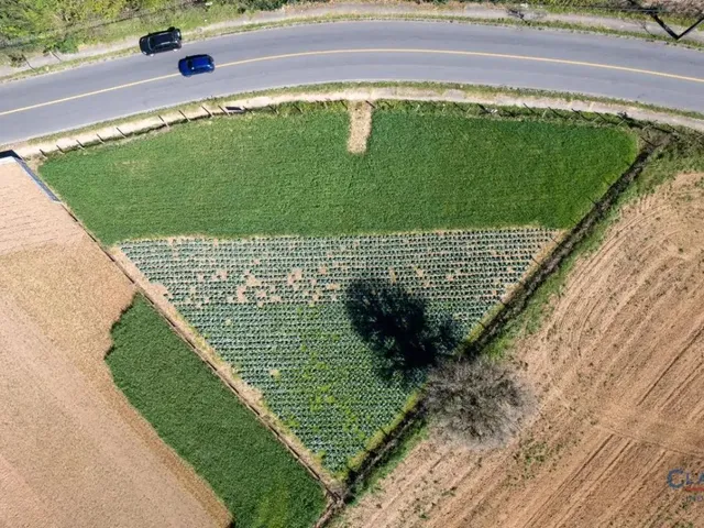 Terreno à venda, no bairro Vila Santa Terezinha em Campo Largo