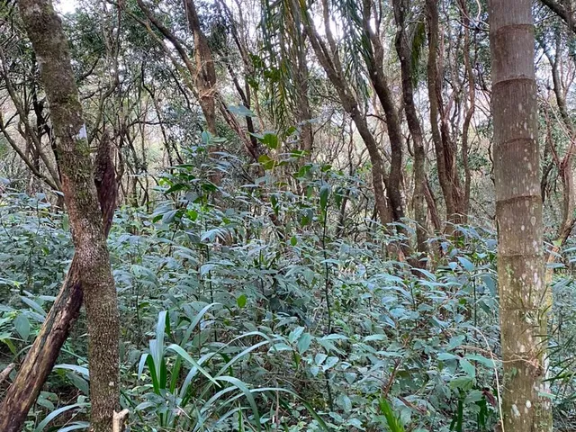 Terreno com 42431m², à venda, no bairro Salto em Extrema