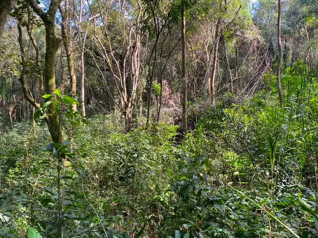 Terreno com 42431m², à venda, no bairro Salto em Extrema