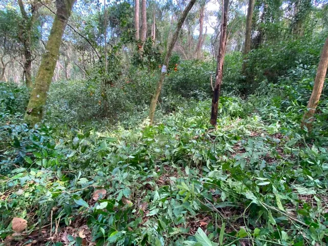 Terreno com 42431m², à venda, no bairro Salto em Extrema