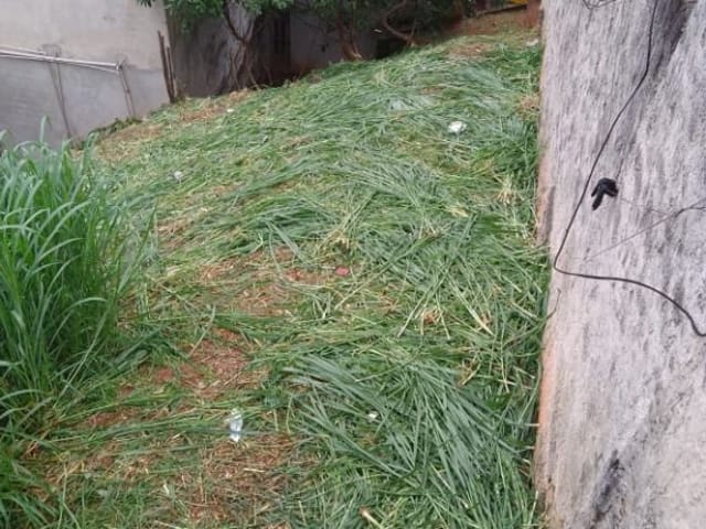 Terreno com 265m², à venda, no bairro Vila Bonilha em São Paulo