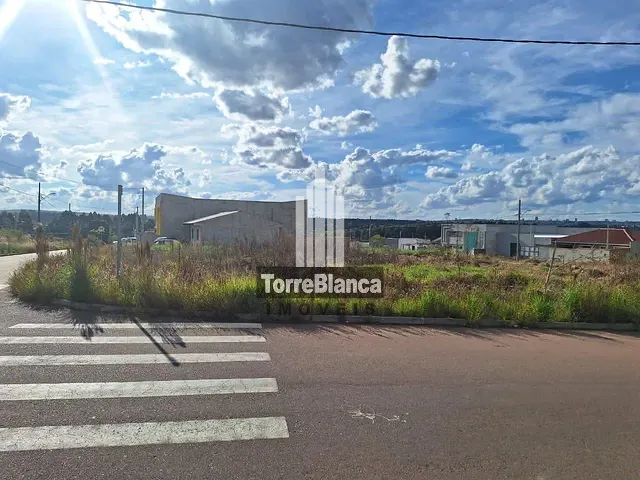 Terreno com 254m², à venda, no bairro Colônia Dona Luiza em Ponta Grossa