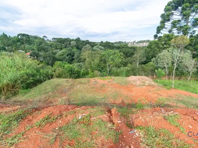 Terreno à venda, no bairro Jardim Rivabem em Campo Largo