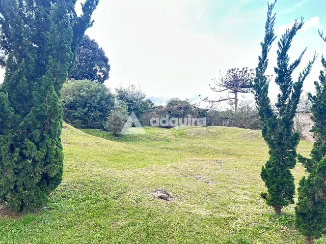 Terreno com 640m², à venda, no bairro Jardim Carvalho em Ponta Grossa