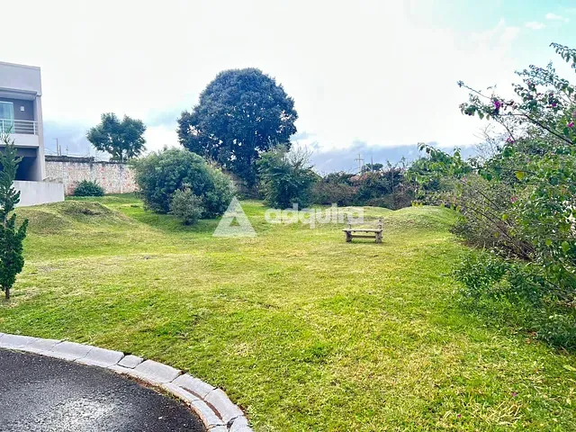 Terreno com 640m², à venda, no bairro Jardim Carvalho em Ponta Grossa
